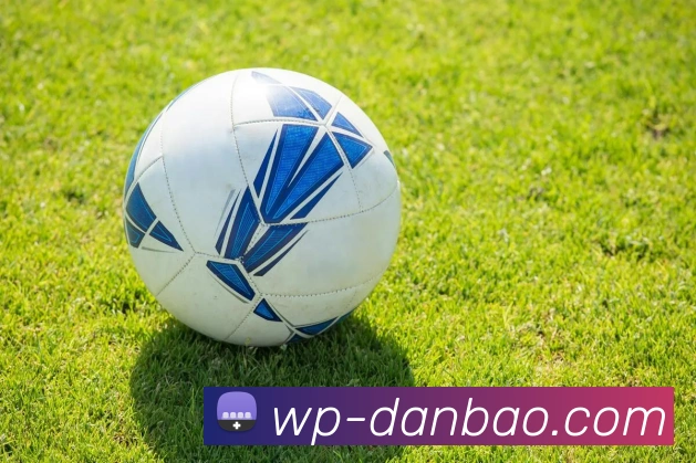 担保官网品牌故事